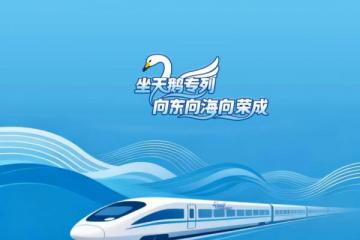 那香海天鹅湖天鹅已逾千只，湖边赏景，当一天童话里的“闲人”